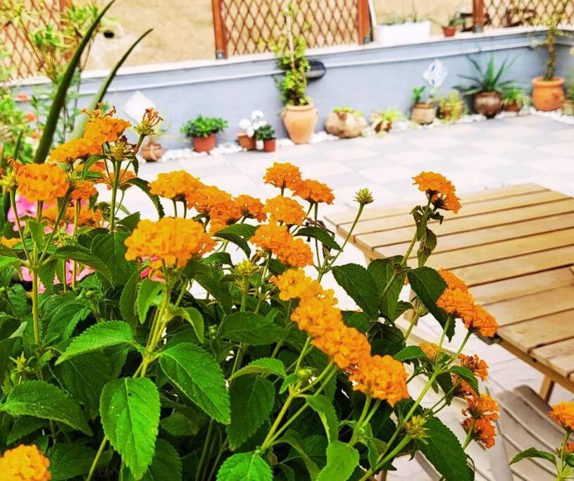 Casetta Poli- Appartamento Con Terrazza - Centro Storico Palermo Luaran gambar